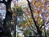 小風景の壁紙