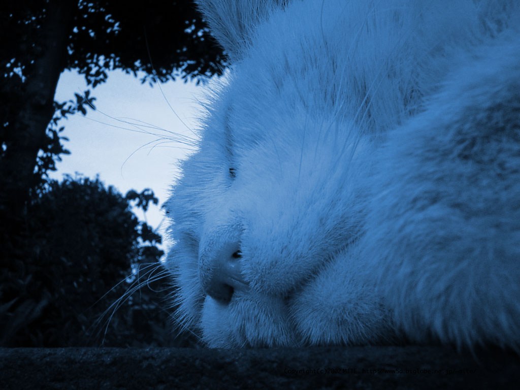 14_1024