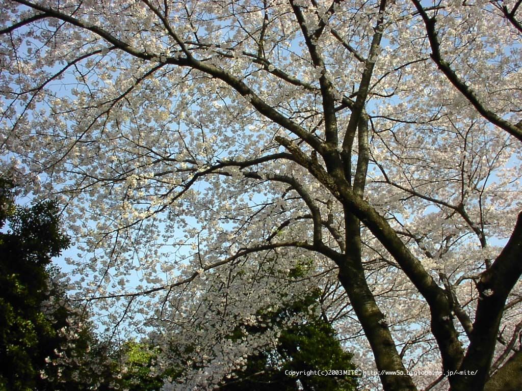 33_1024