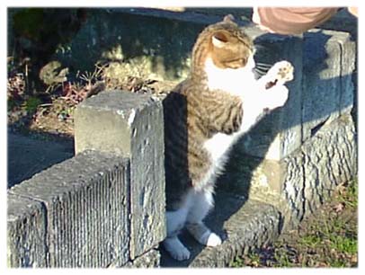 200312