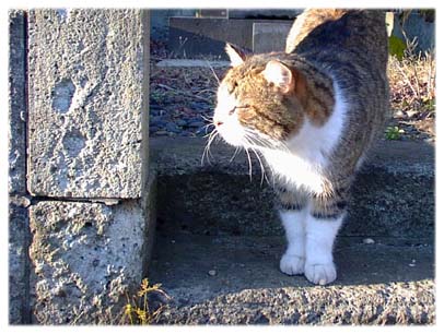 200312