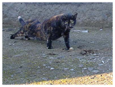 200312