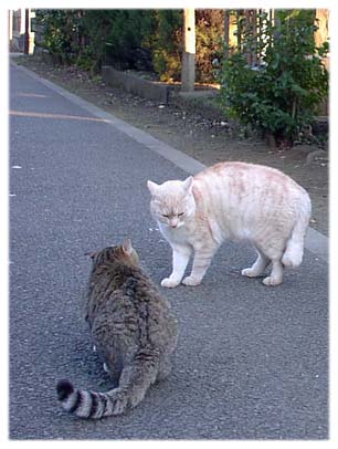 200312