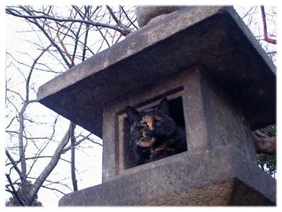 200312