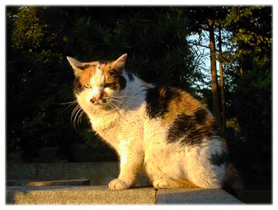 200312