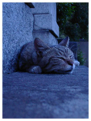 200407