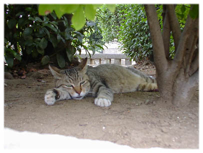 200408