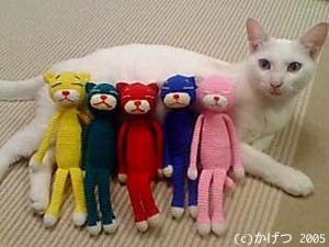 3564